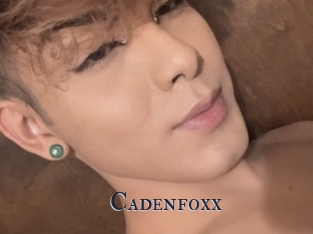 Cadenfoxx