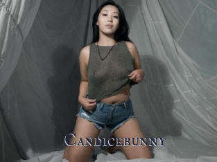 Candicebunny