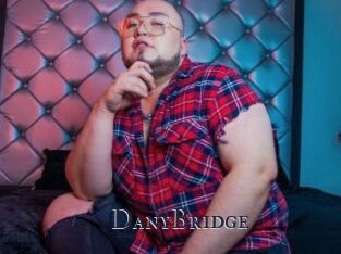 DanyBridge