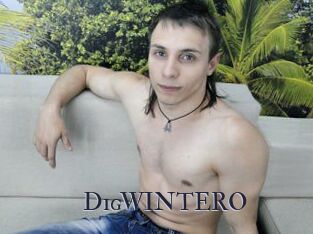 DigWINTERO