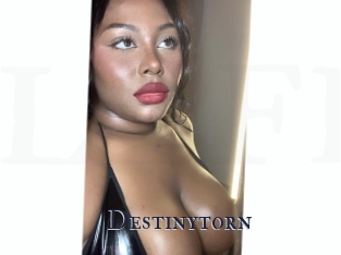 Destinytorn