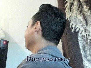 Dominicsteele