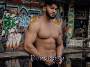 Donmerlin