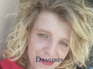 Dragibus