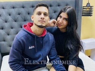 Elektraandmike
