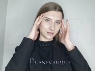 Elenecaudle