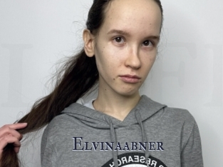 Elvinaabner