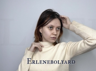 Erlenebolyard