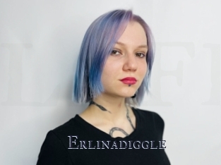 Erlinadiggle