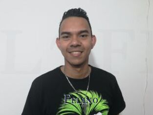 Felino