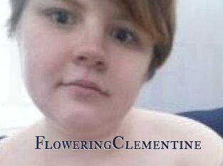 FloweringClementine