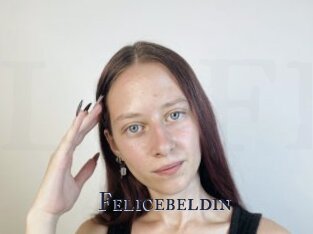 Felicebeldin