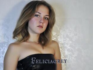 Feliciagrey