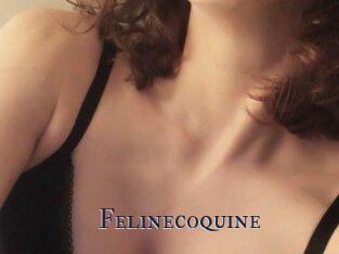 Felinecoquine