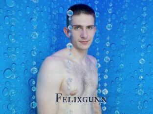 Felixgunn