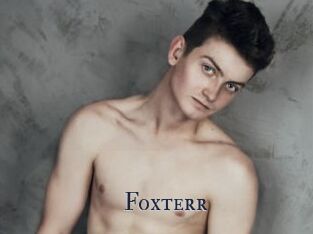 Foxterr