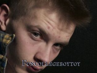 Funcollegeboytoy