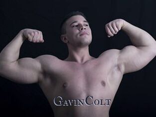 GavinColt