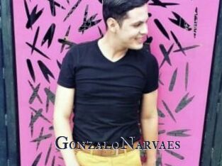 GonzaloNarvaes