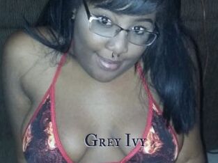 Grey_Ivy