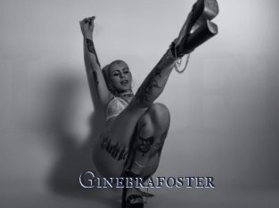 Ginebrafoster