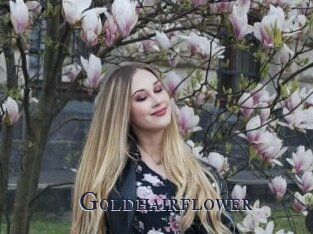 Goldhairflower