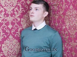 Goodboyelin