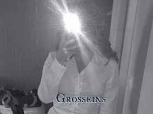 Grosseins