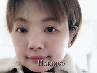 Haringo