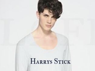 Harrys_Stick