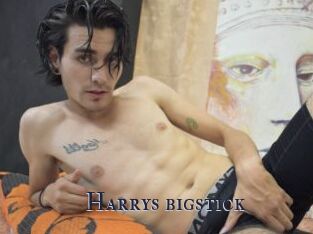 Harrys_bigstick