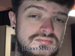 HornyMale96
