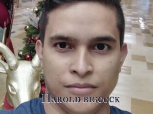 Harold_bigcock