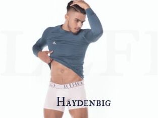 Haydenbig