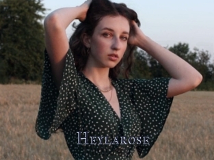 Heylarose