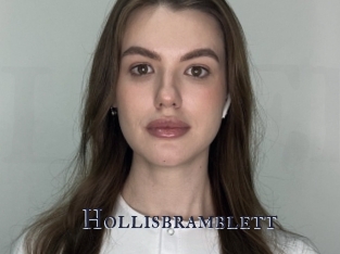 Hollisbramblett