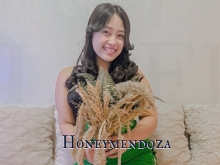 Honeymendoza