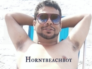 Hornybeachboy