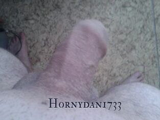 Hornydan1733