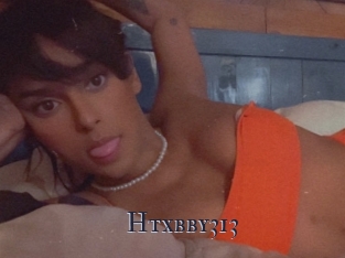 Htxbby313