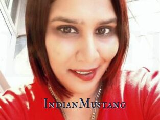 IndianMustang