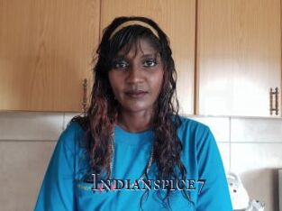 Indianspice7
