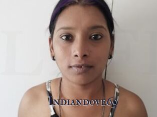 Indiandove69