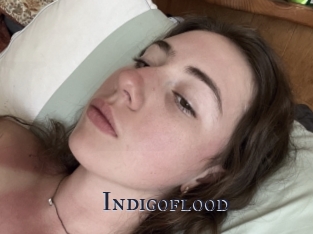 Indigoflood