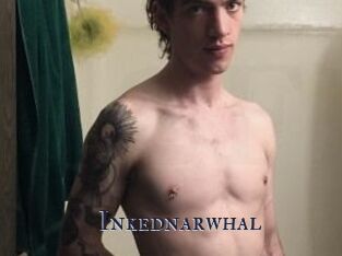 Inkednarwhal