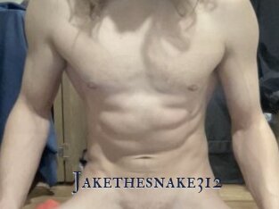 Jakethesnake312