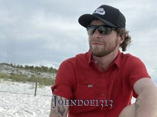 Johndoe1313