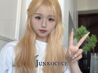 Junkocece