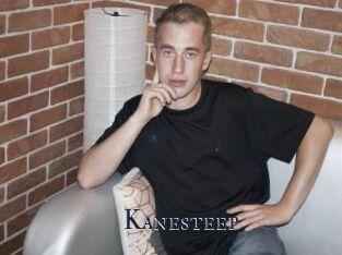 Kanesteep