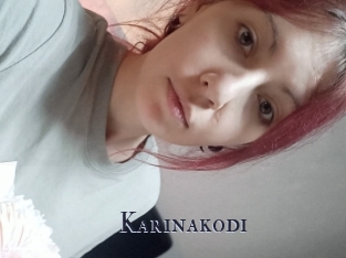 Karinakodi